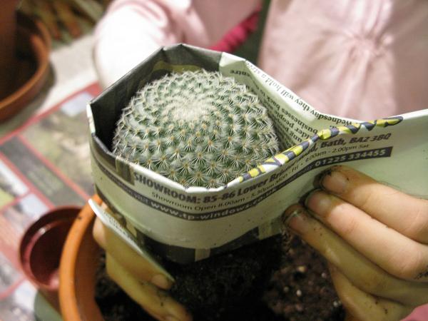 [http://www.timetocraft.co.uk/wp-content/uploads/2011/01/planting-cactus.jpg]