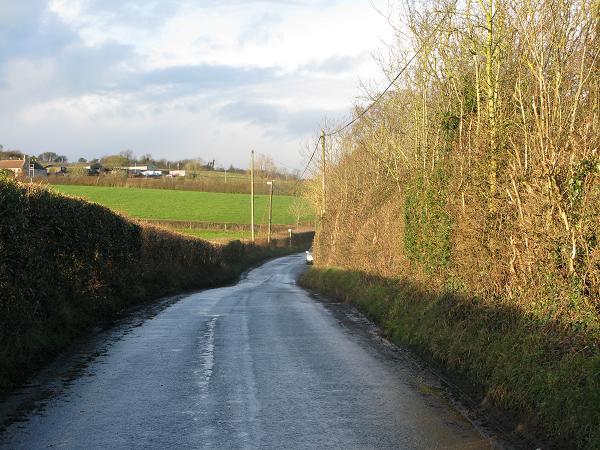 lane in January