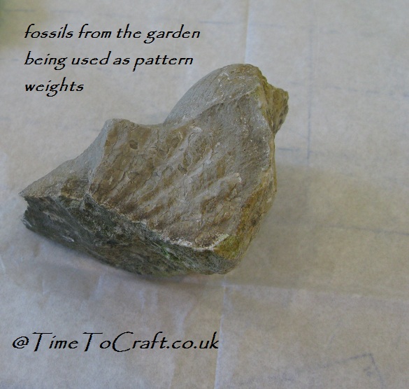 fossil paper weight