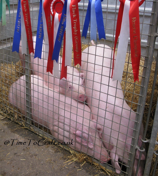 pigs and rosettes