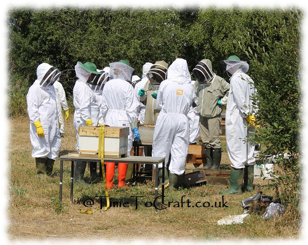 beekeeping taster day