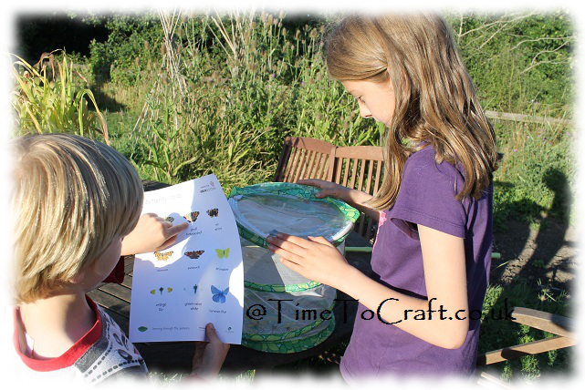 butterfly investigations