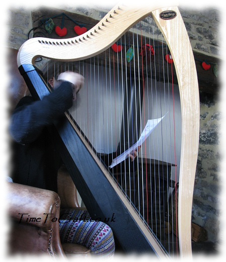 playing the harp