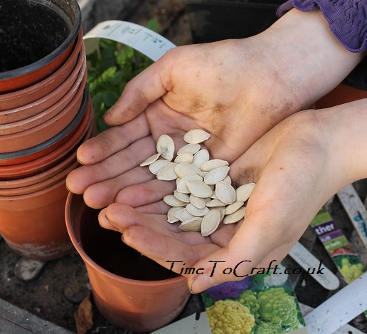 hand full of seeds