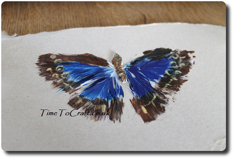 painted feather butterfly side