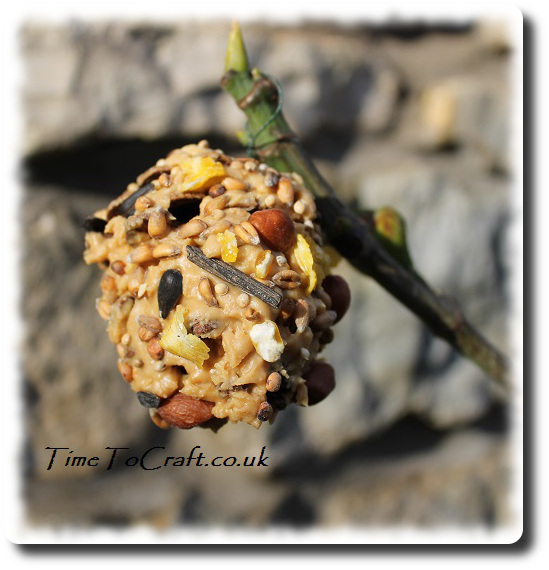 peanut and seed pine cone feeder on fig tree 2