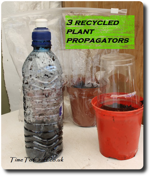 3 recycled plant propagator ideas