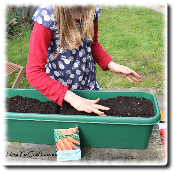 sowing carrots in childrens' planters