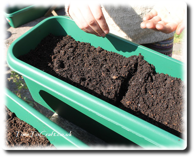 sowing seeds in the children's planters