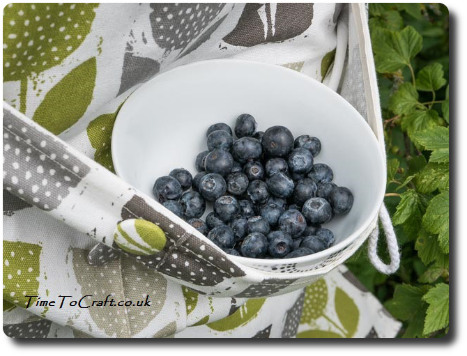 blueberries and the kitchen garden overall