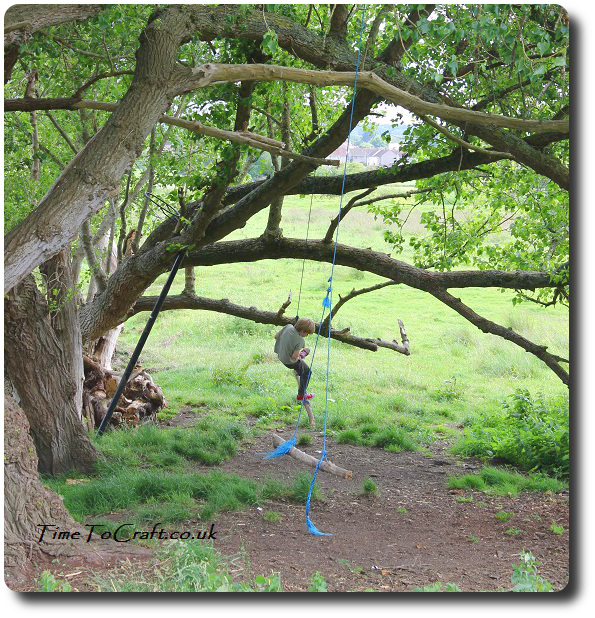 swings in tree Glastonbury