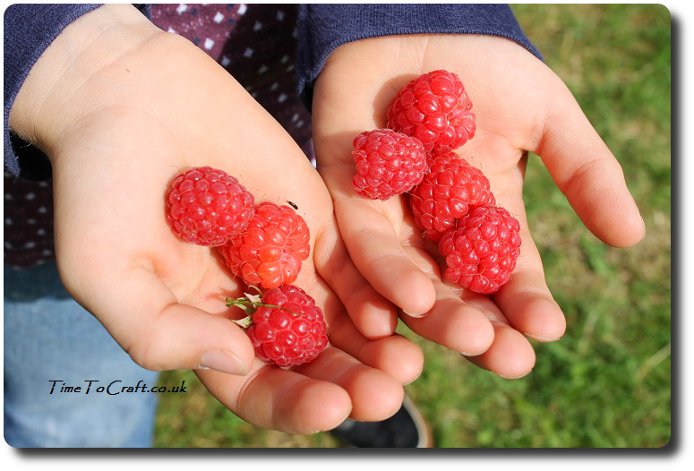 a handful of raspberries