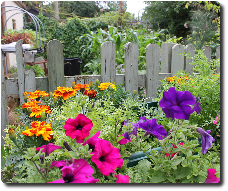 kitchen garden and flower troughs