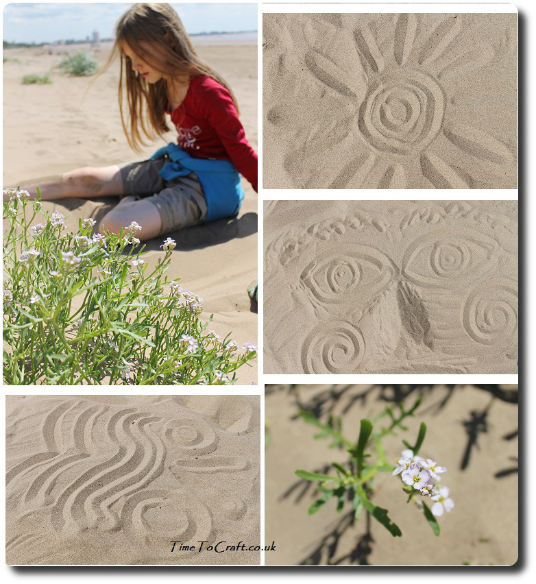 art and nature studies in the dunes