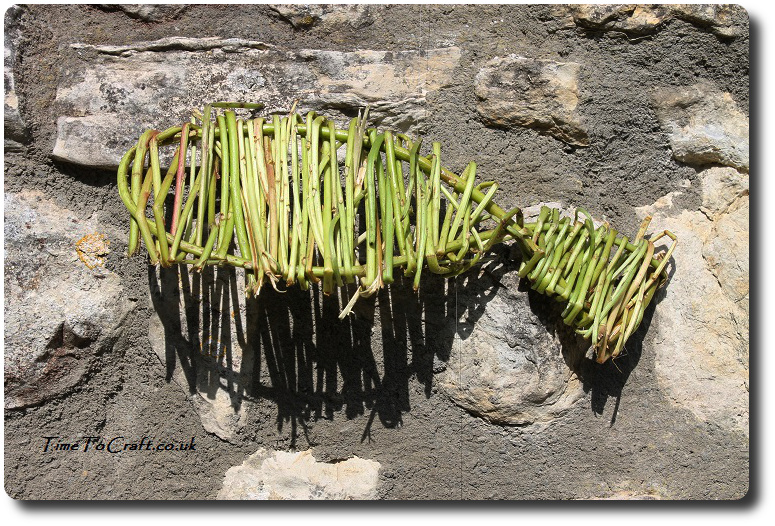 willow fish on stone wall