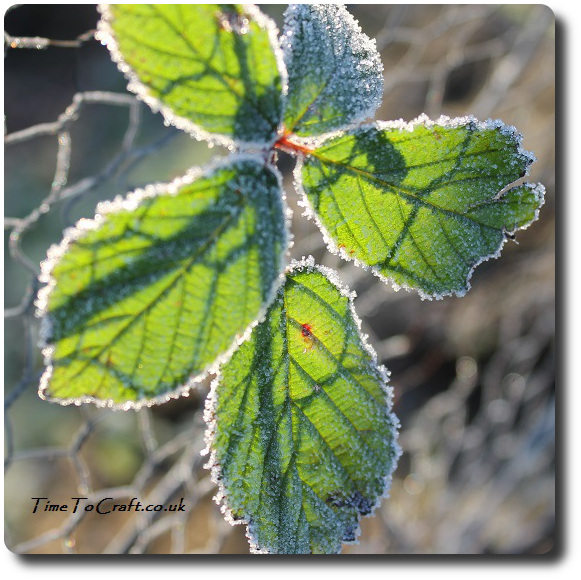 stain glass frosted blackberry leaves