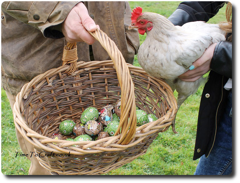 Lilac the hen and basket of eggs