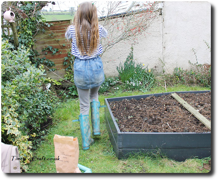 planting broad beans and Totoro dance