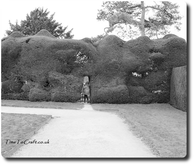 arch way in wobbly hedge at Montacute