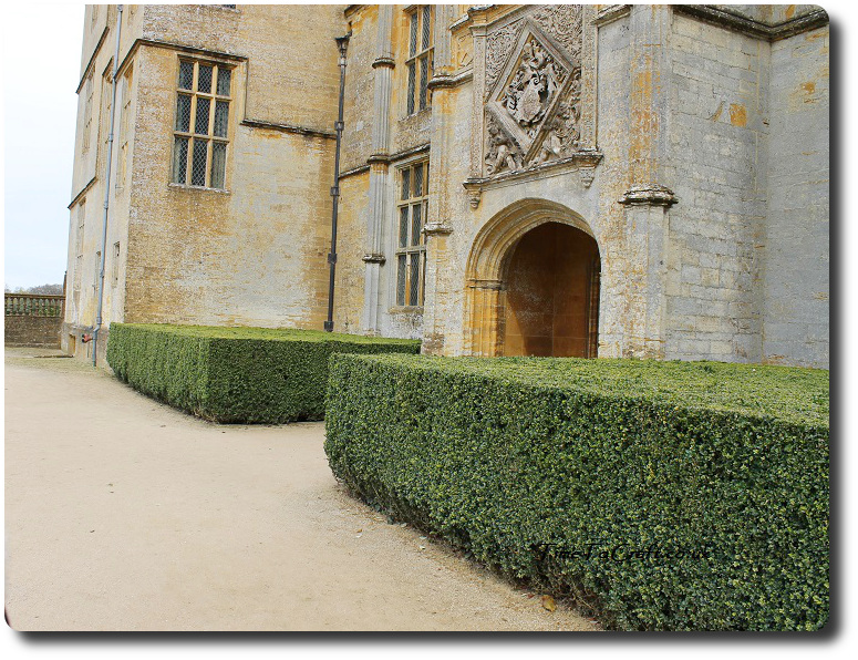 box hedging at Montacute