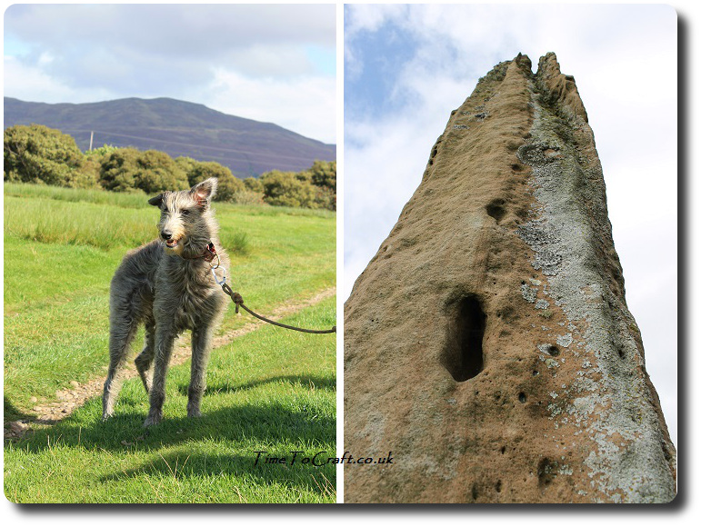 pup-at-the-standing-stones