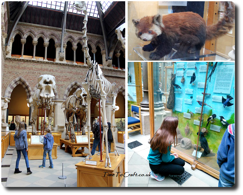 natural-history-museum-in-oxford