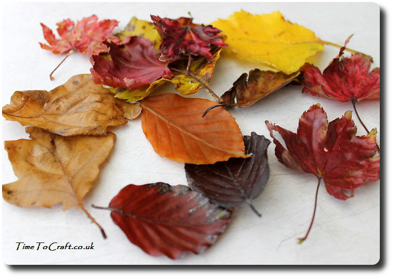finished-waxed-autumn-leaves
