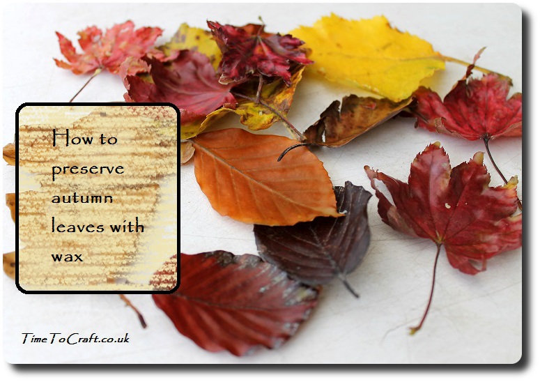 how-to-wax-autumn-fall-leaves