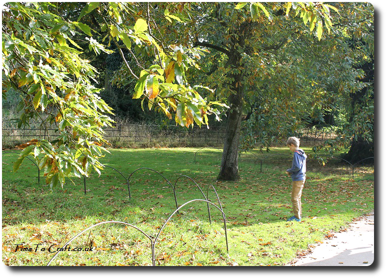 leaf-collecting-at-stourhead