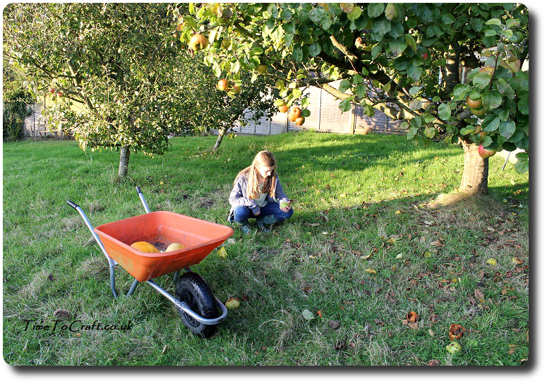 picking-up-windfall-apples