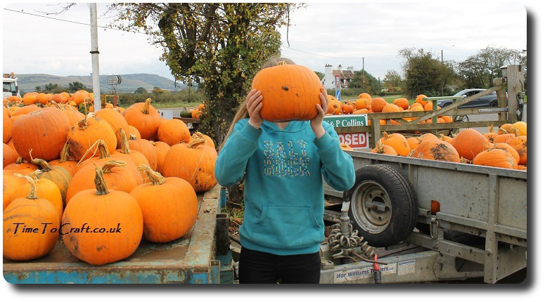 pumpkin-farm-shop