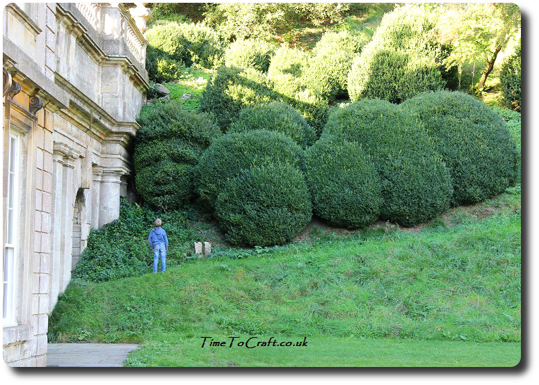 topiary-face-at-dyrham-park