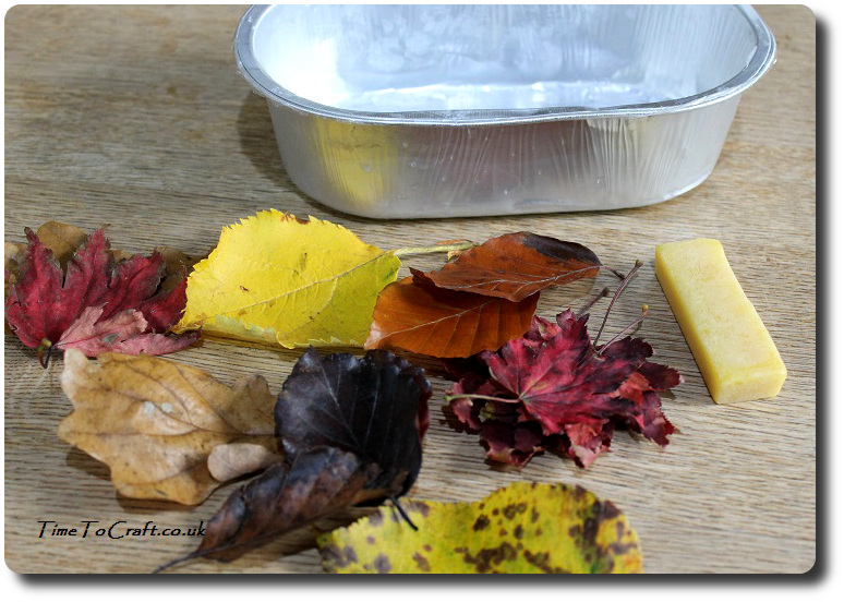 what-you-need-to-wax-autumn-leaves