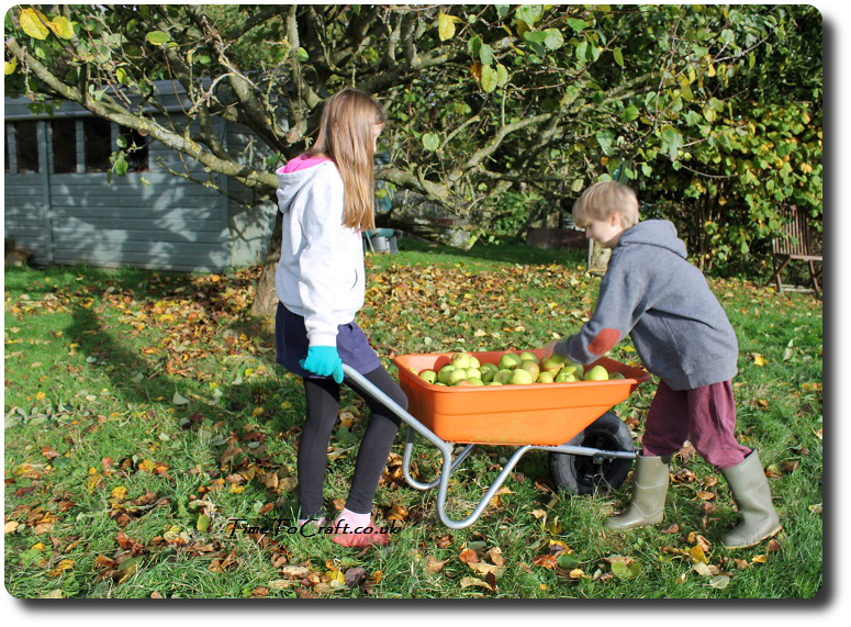 apples-in-the-wheelbarrow