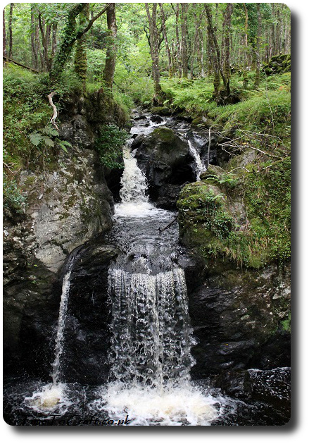 waterfall-galloway-forest-wood-of-cree