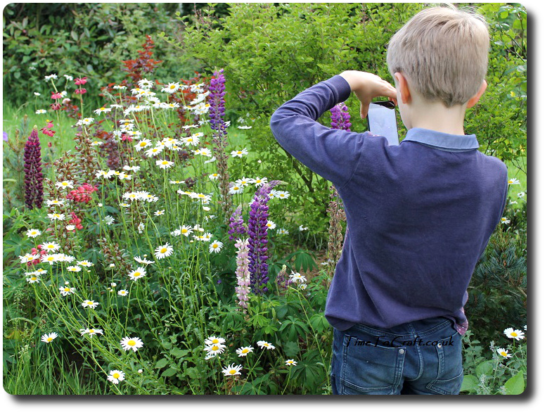 boy taking photo of flowers