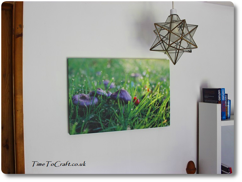 purple toadstools canvas on white wall