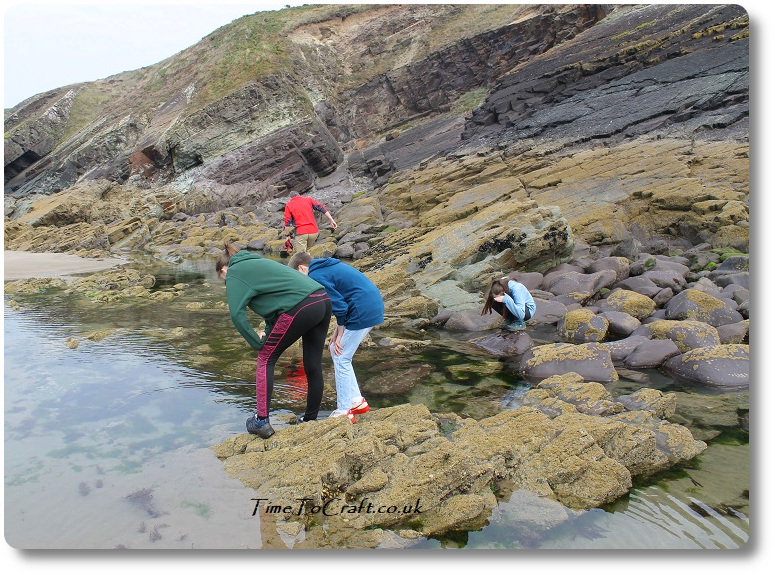 rock pooling with teens
